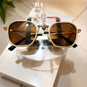 Urban Hexagon Gold Frame Sunglasses  P0311